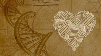 Der Flitterwochen-Effekt