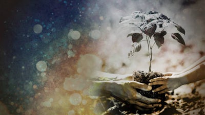 Wissen der neuen Zeit