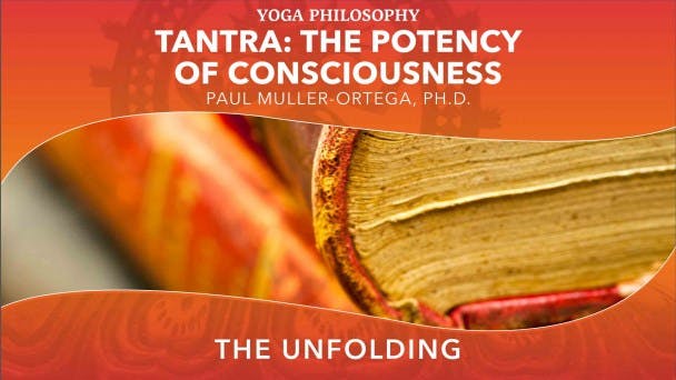 The Unfolding