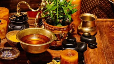 The Ayurvedic M.D. with Dr. Nita Desai