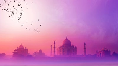 The Initiation (Dr. Donald Schnell)