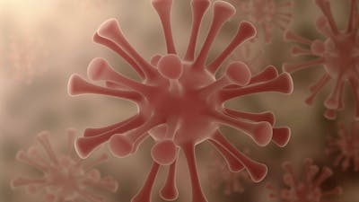 Harvey Bigelsen on Hepatitis C and Inflammation