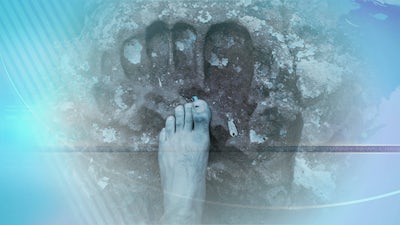 Giants: History and Evidence