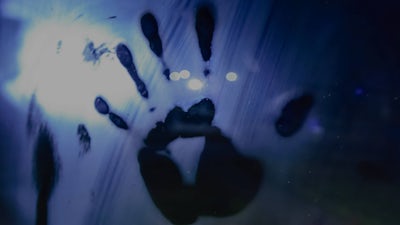 Anomalien der Realität II – Transzendenz