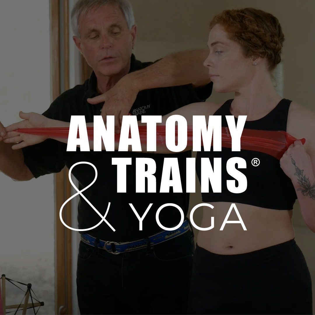 Anatomy Trains® and Yoga