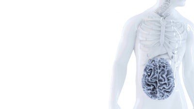 The Gut: Our Second Brain