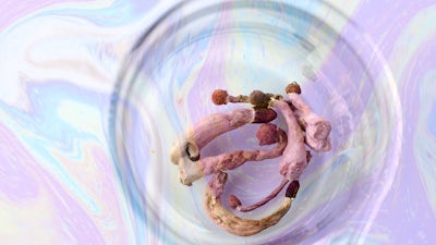 Study Confirms Microdosing Psilocybin Boosts Mental Health