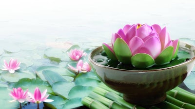 A Personal Journey (Dr. Jean Shinoda Bolen)