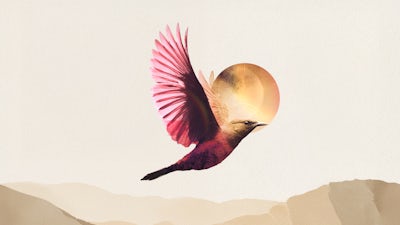 Communiquer avec l'au-delà