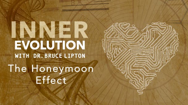 The Honeymoon Effect