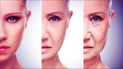 The Science of Immortality with Dr. Bill Andrews and Dr. Terry Grossman
