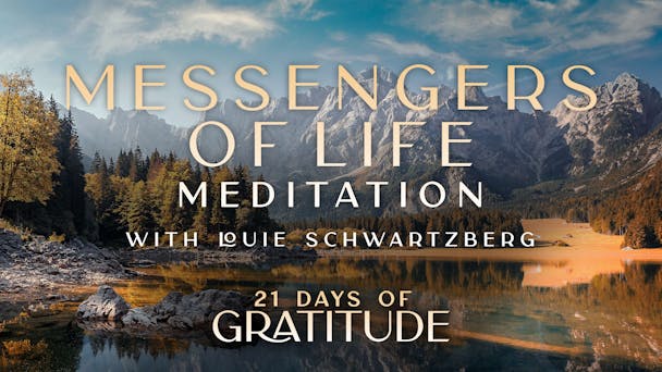 Messengers of Life - Meditation 