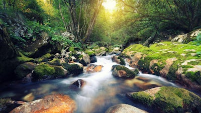 Rose Pere on The Maori Way