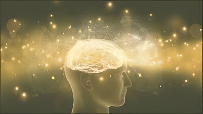 Alcanzando la conciencia de oro, con Lee Harris