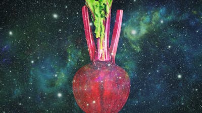 High-Vibration Diet for Starseeds with Bridget Nielsen