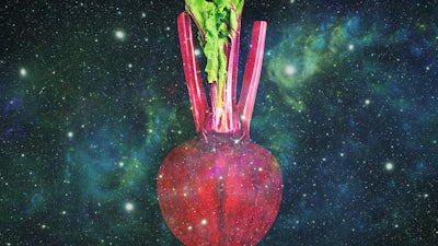 High-Vibration Diet for Starseeds with Bridget Nielsen