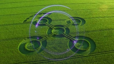 Crop circles: primavera del 2017