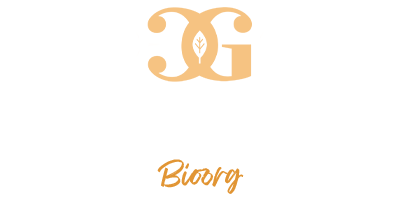 YO SOY Proyecto
