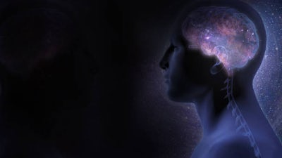 Au nom du cerveau et du saint esprit