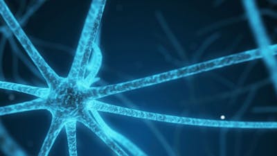 The Hormone Cure with Dr. Sara Gottfried