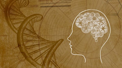 Évolution en pleine conscience