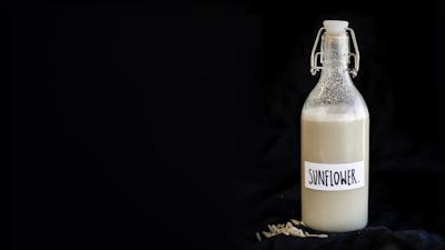 Sunflower Seed Milk