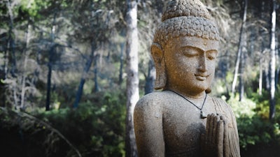 Zen: Silence and Mindfulness