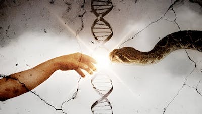 Los reyes sumerios y el juramento de los Anunnaki