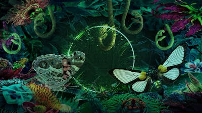 La planète des plantes