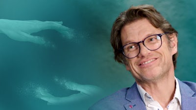 Die Neurowissenschaften des Bewusstseins