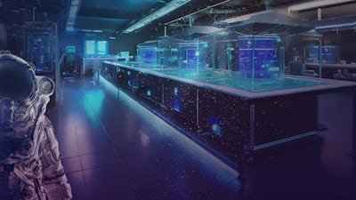 Ingeniería inversa para un nuevo mundo