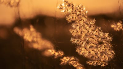Make Time for Grief