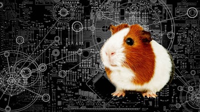 Mind Control Guinea Pigs with John Hall