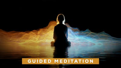 Shift Your Timeline Guided Meditation 