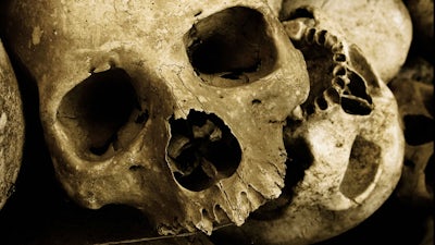 Skulls of Power with Paul Koudounaris