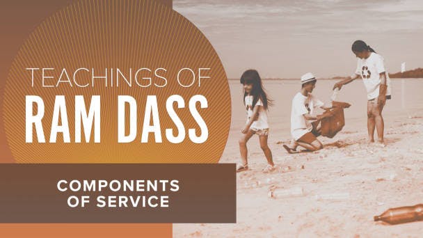 Components of Service