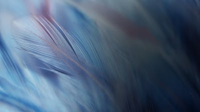 Heal Conference Highlights