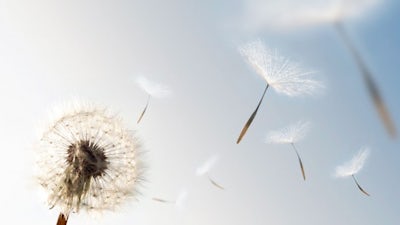 Libérate de pensamientos negativos