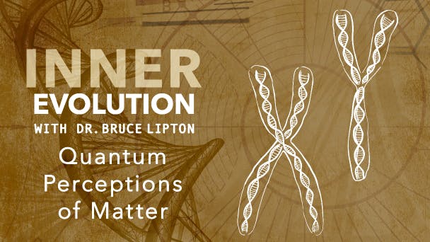 Quantum Perceptions of Matter