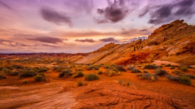 Millennium Prophecies (Mark Thurston)