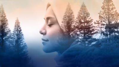 The Portal: Part Two