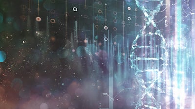 Alchimie pour l'ascension de l'âme 