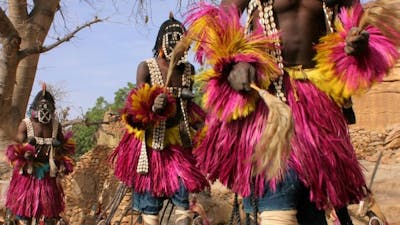 Esoteric Science of the Dogon with Laird Scranton