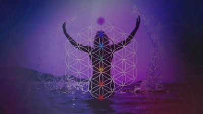 Geometry within the Human Body