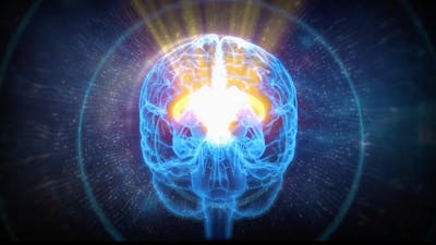 Why the Pineal Is Called a “Super Organ”