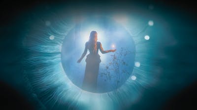 Fragments of Forgotten Contact