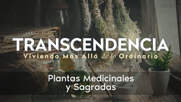 Plantas Medicinales y Sagradas