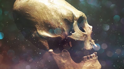 Elongated Skulls Along British Ley Lines with Maria Wheatley