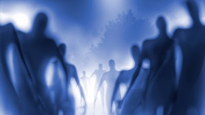 The Visitors