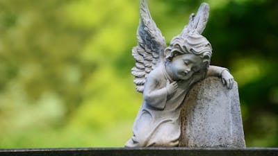 Terri Daniel on a Swan in Heaven